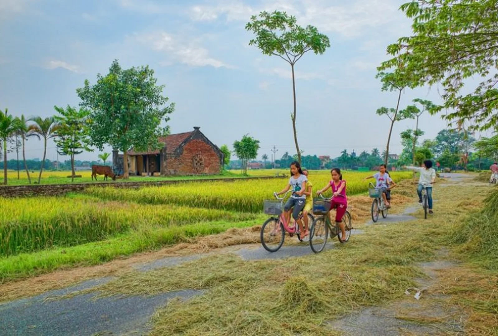 Hanoi Cycling Trip Duong Lam Ancient Village 1 Day
